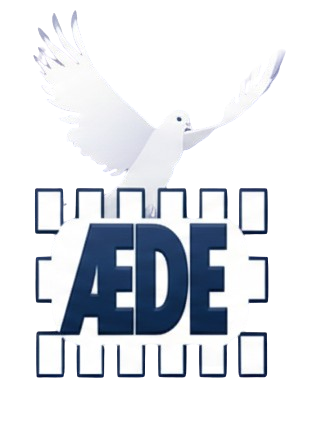 aede logo 3 removebg preview (1)